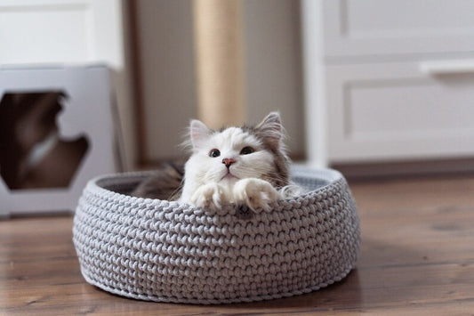 Cat Nest, 5 colours. Cotton cat cave, crochet cave, cat supplies, cat accessories, cat bedding, cat bed, knitted cat bed, beds for cats